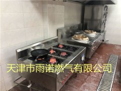 醇基燃料案例图